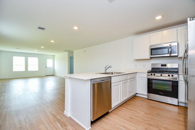 18966 Panzini Drive, New Caney, TX 77357