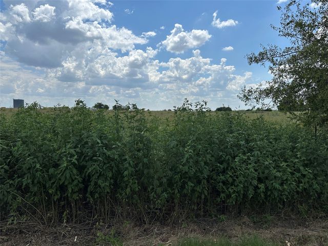 Lot 4 Rutledge Road, Whitewright, TX 75491