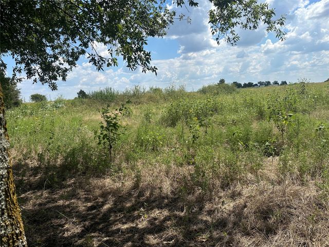 Lot 4 Rutledge Road, Whitewright, TX 75491