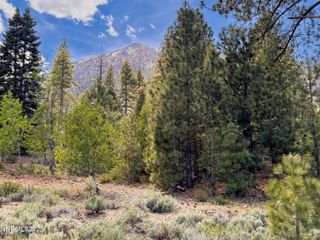 490 Nature'S Edge Road, Gardnerville, NV 89410