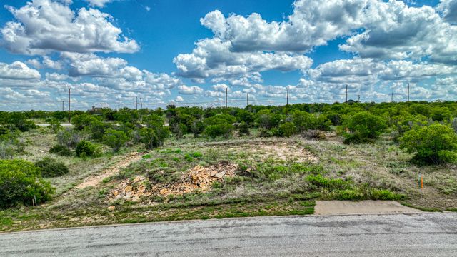 270 Poppy Hills Drive, Possum Kingdom Lake, TX 76449