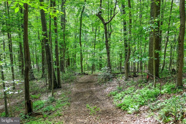 TBD COMPTONS RD, Castleton, VA 22716