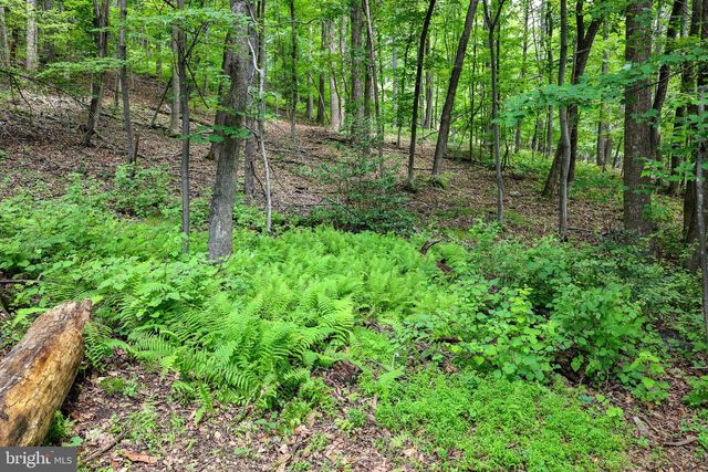 TBD COMPTONS RD, Castleton, VA 22716