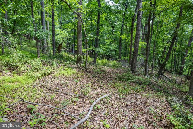 TBD COMPTONS RD, Castleton, VA 22716
