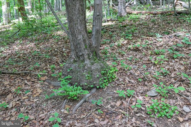 TBD COMPTONS RD, Castleton, VA 22716