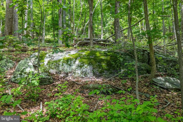TBD COMPTONS RD, Castleton, VA 22716
