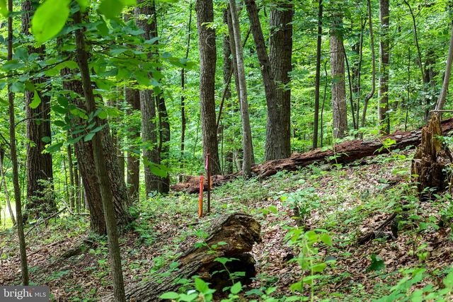 TBD COMPTONS RD, Castleton, VA 22716