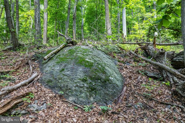 TBD COMPTONS RD, Castleton, VA 22716