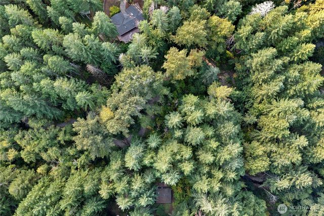 171 N Kokanee Cove Way, Hoodsport, WA 98548