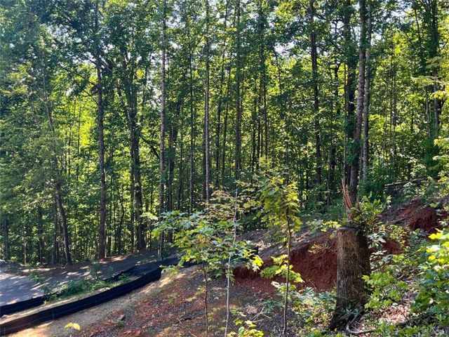 LOT 8 Lake View, Clayton, GA 30525