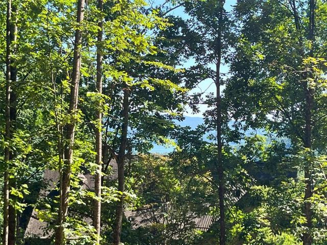LOT 8 Lake View, Clayton, GA 30525