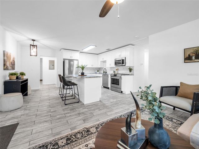 4014 MCLANE DRIVE, Tampa, FL 33610