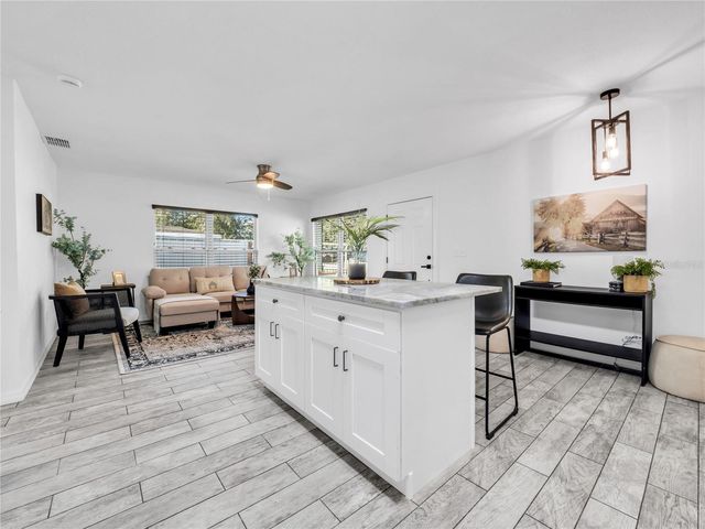 4014 MCLANE DRIVE, Tampa, FL 33610