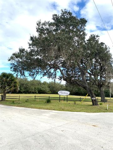 15991 NE 243RD PLACE ROAD 54, Fort Mc Coy, FL 32134