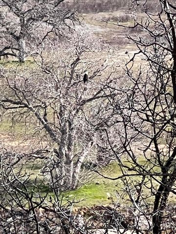 18720 Cobblestone Drive, Cottonwood, CA 96022