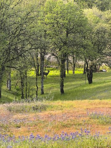 18720 Cobblestone Drive, Cottonwood, CA 96022