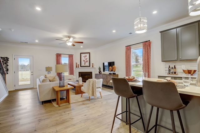 564 Nightengale Ridge Drive, Columbia, TN 38401