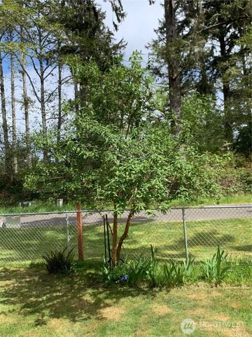 783 Evergreen Avenue SE, Ocean Shores, WA 98569