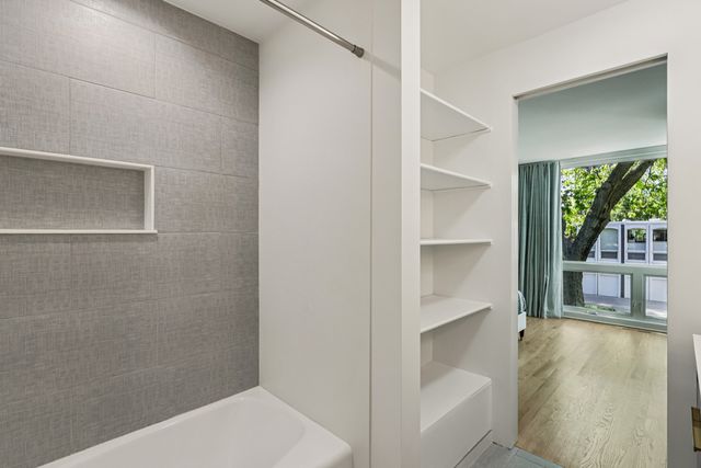 1319 N Sandburg Terrace, Chicago, IL 60610