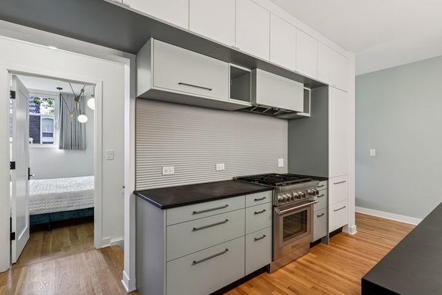 1319 N Sandburg Terrace, Chicago, IL 60610