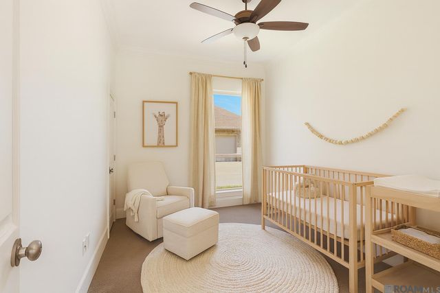 13127 Oakbourne Ave, Geismar, LA 70734