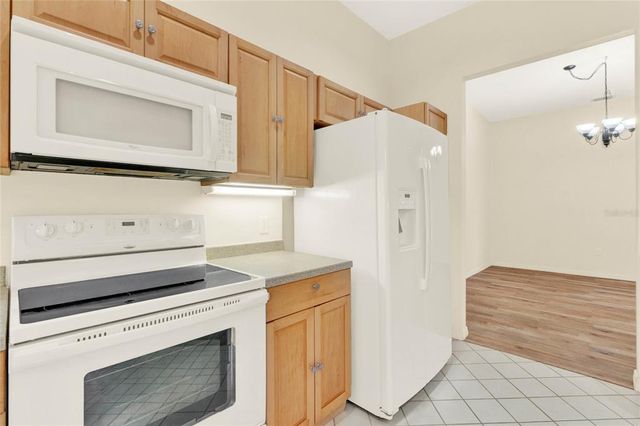 39905 BAYVIEW DRIVE, Lady Lake, FL 32159