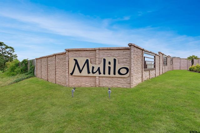 318 Zebra Way, Bullard, TX 75757