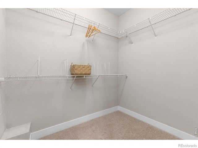 653 Grandview Mdws Drive, Longmont, CO 80503