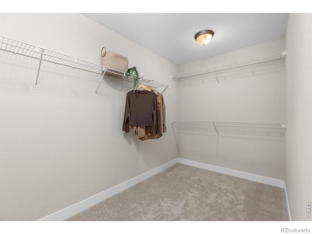 653 Grandview Mdws Drive, Longmont, CO 80503