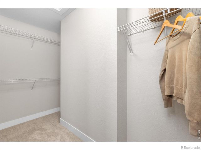 653 Grandview Mdws Drive, Longmont, CO 80503