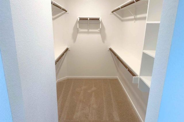 13832 Scarlett Song DR, Elgin, TX 78621