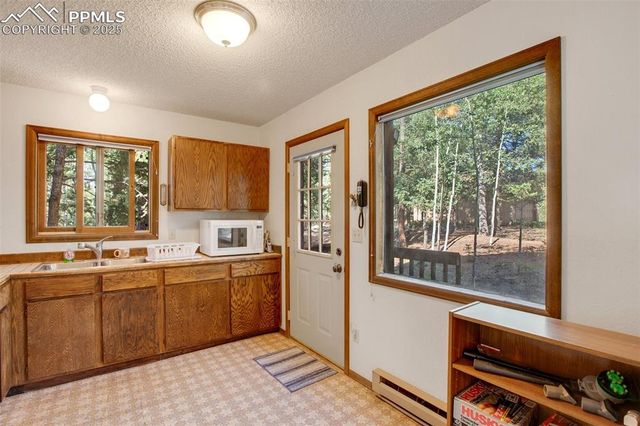 886 Cottonwood Lake Drive, Divide, CO 80814