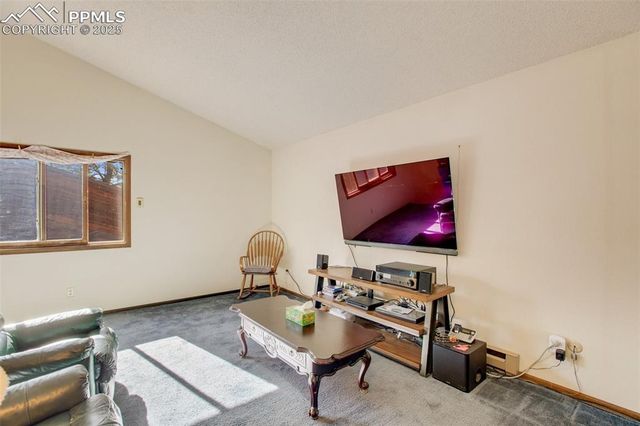 886 Cottonwood Lake Drive, Divide, CO 80814