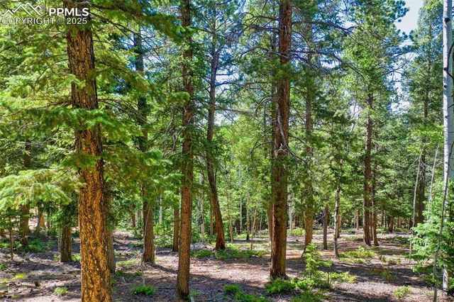 886 Cottonwood Lake Drive, Divide, CO 80814