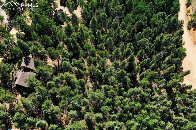 886 Cottonwood Lake Drive, Divide, CO 80814