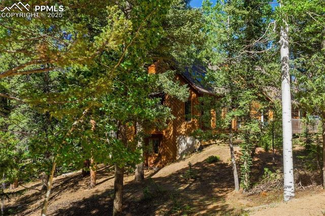 886 Cottonwood Lake Drive, Divide, CO 80814