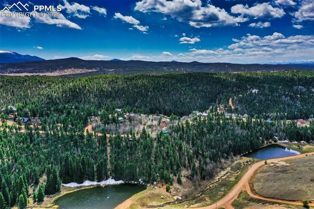 886 Cottonwood Lake Drive, Divide, CO 80814