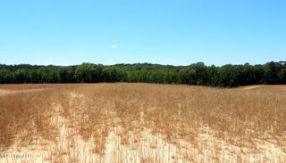 205 Hugh White State Park Road, Grenada, MS 38901