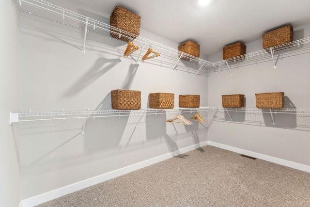 1507 Clover Preserve Way, Chaska, MN 55318