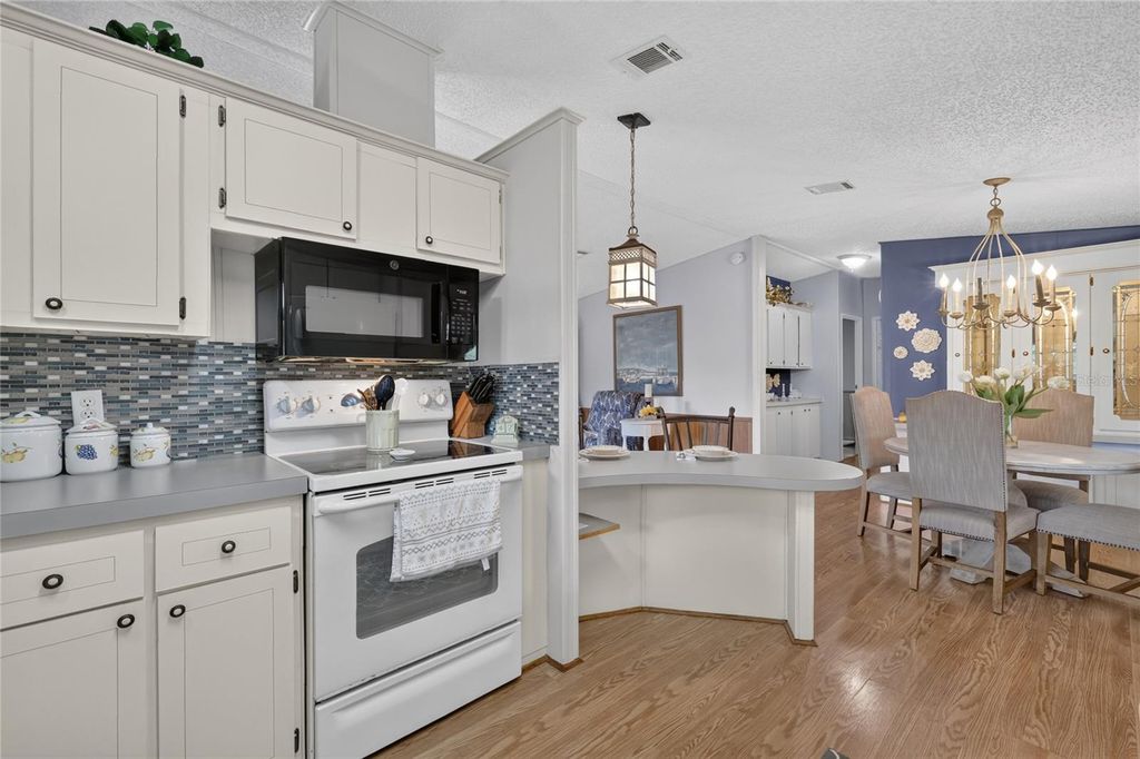Image 12 of property listing at 572 TAMMI DRIVE, Leesburg, FL 34788