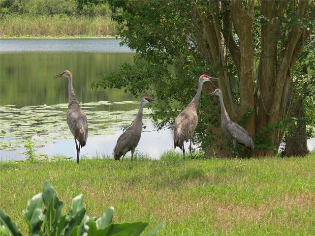 1224 LAKE BLUE CIRCLE, Apopka, FL 32703