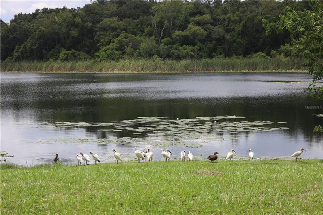 1224 LAKE BLUE CIRCLE, Apopka, FL 32703