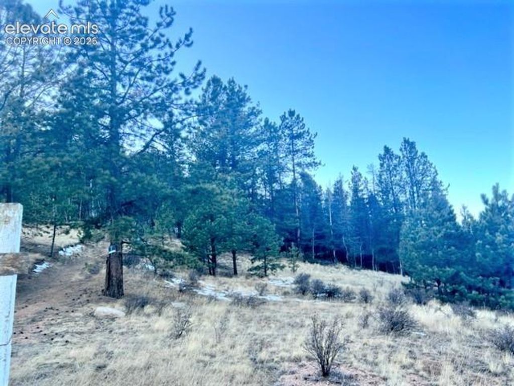 233 Rabbil Creek Trail, Florissant, CO 80816 — exterior