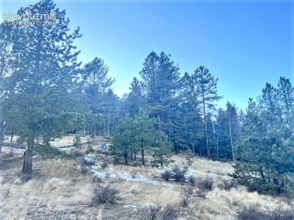 233 Rabbil Creek Trail, Florissant, CO 80816 — photo 2