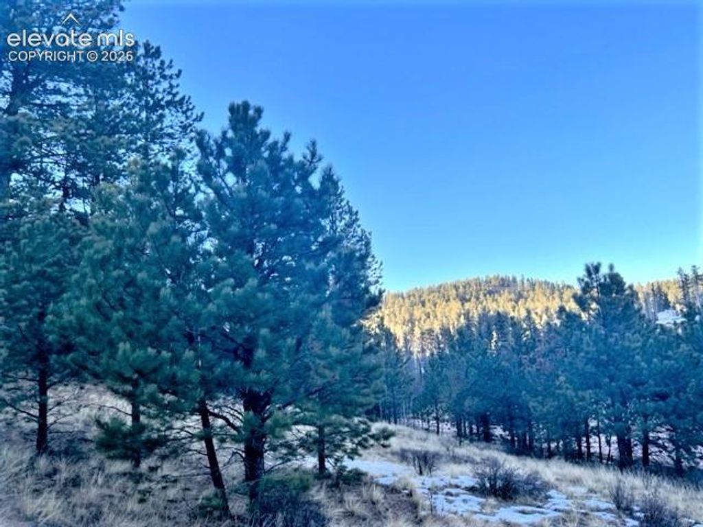 233 Rabbil Creek Trail, Florissant, CO 80816 — photo 3