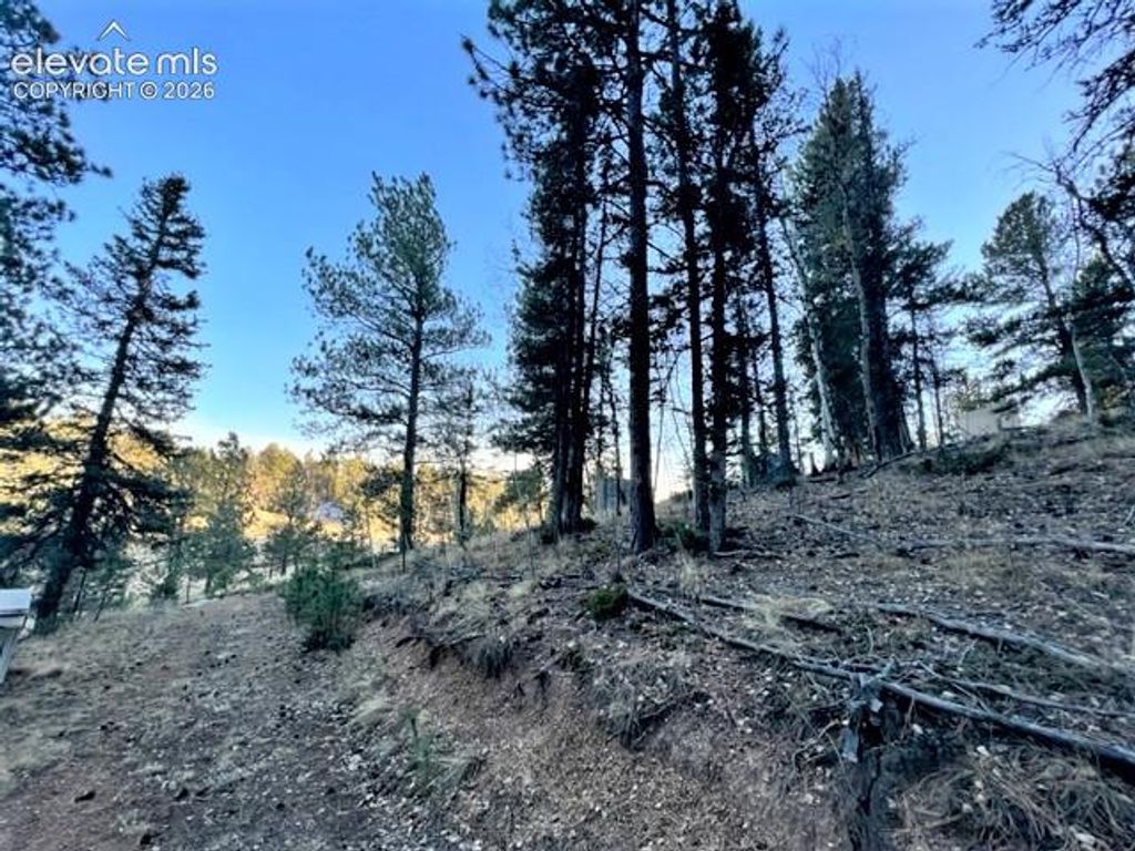 233 Rabbil Creek Trail, Florissant, CO 80816 — photo 5