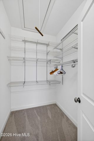 6025 Banded Tulip Drive, Wilmington, NC 28412