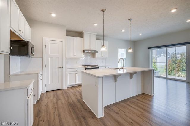 36270 Lands End Drive, North Ridgeville, OH 44039
