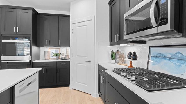 446 Yellow Dandelion Lane, Richmond, TX 77406