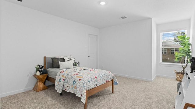 446 Yellow Dandelion Lane, Richmond, TX 77406